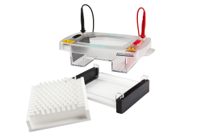 Labnet Enduro 96 Horizontal Electrophoresis System